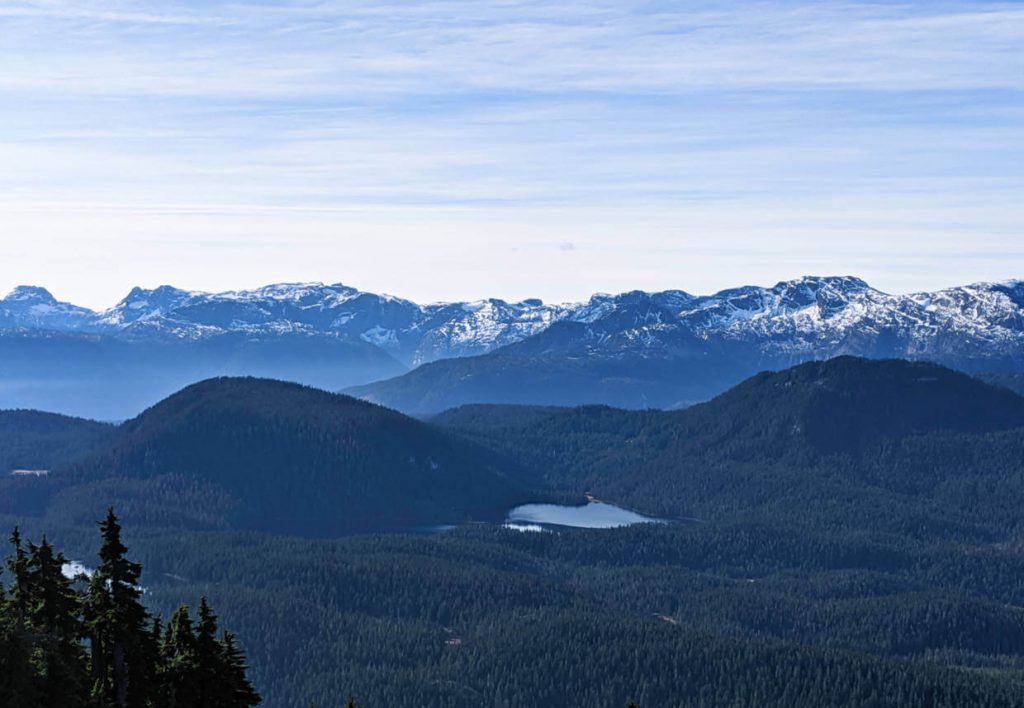 Looking into Strathcona Provincial Park from elevated position, with forest, lakes and snow capped mountains