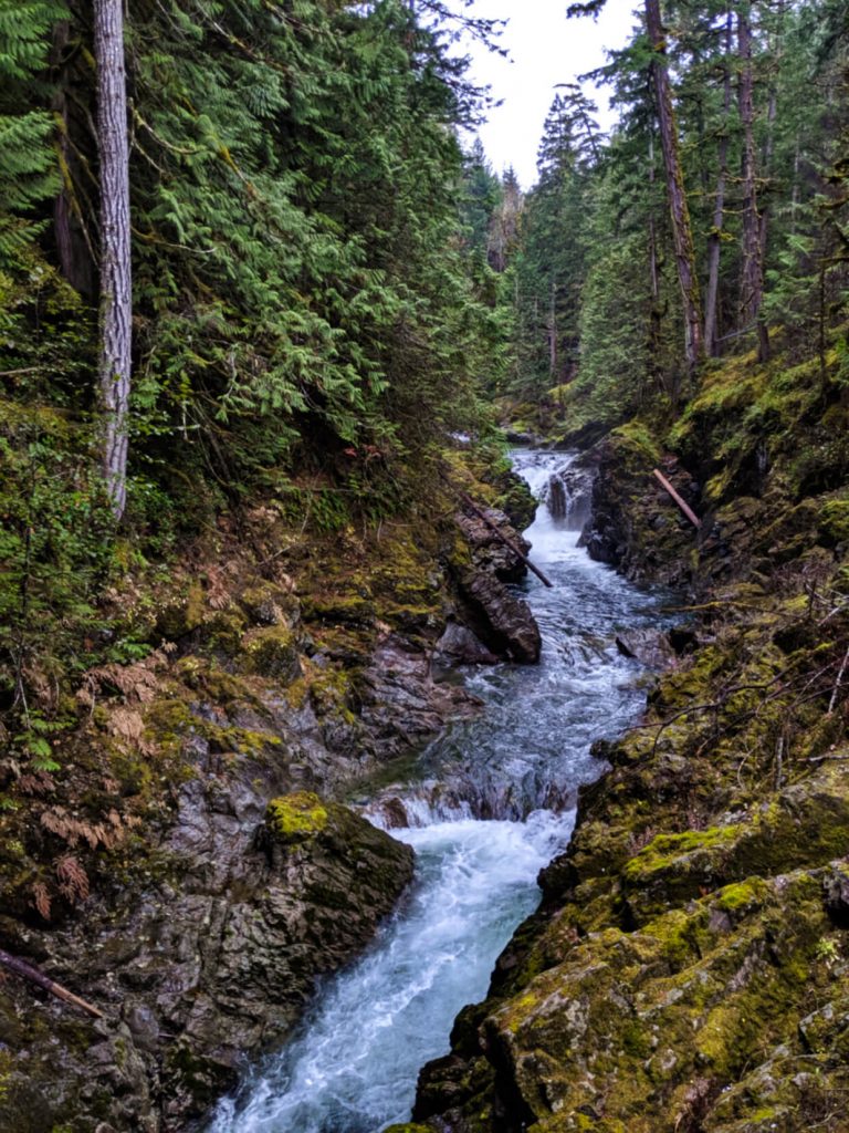 Mossy canyon with fast river running through it, multiple cascades