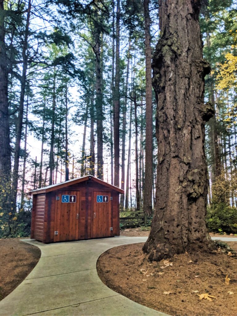 A huge tree sits in front of two outhouses at Rathtrevor Provincial Park