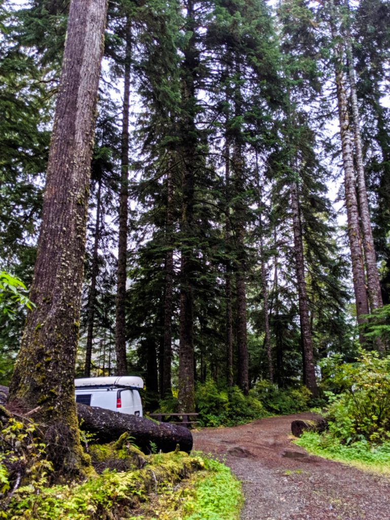 White van peeks out of out campsite, surrounded by tall trees at Nahwitti Lake