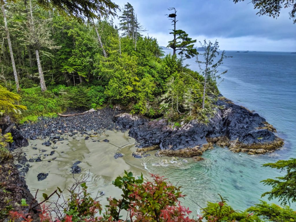 Pocket beach with rocky headland and coastal forest